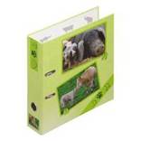 PAGNA - 50393-15 (A4 Karton Mappe in Grün und Grau - 290x75x320 mm)