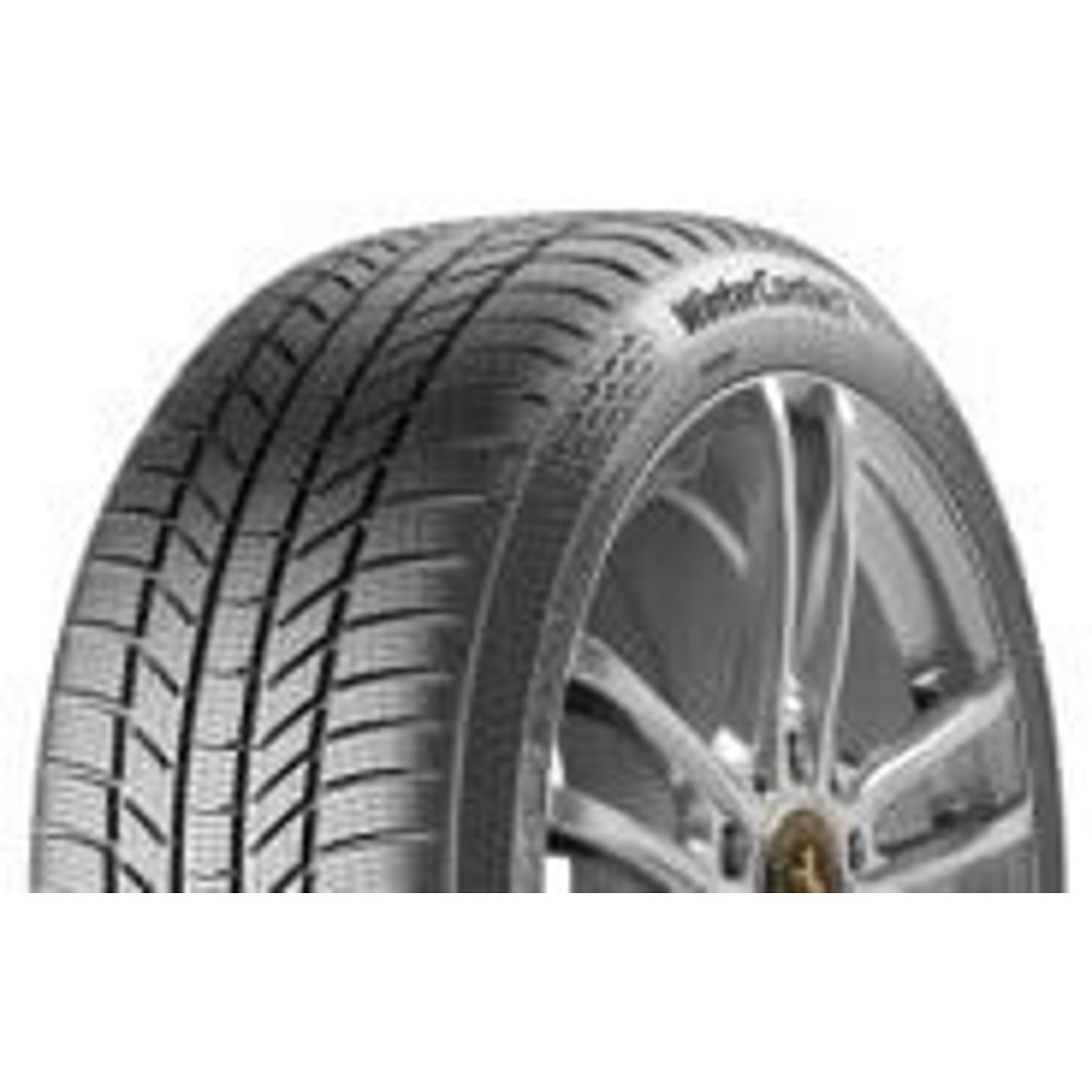 Continental - WinterContact TS 870 P - Winterreifen - 255 mm, 21 Zoll, mit Felgenschutz